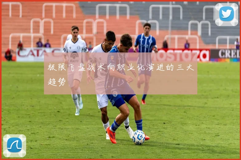 极限飞盘战术向职业化演进的三大趋势