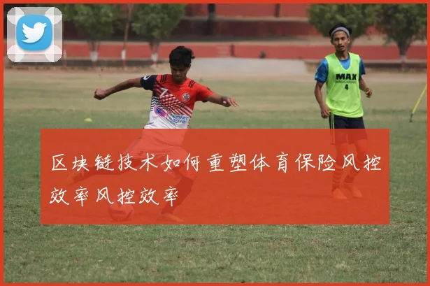 区块链技术如何重塑体育保险风控效率风控效率