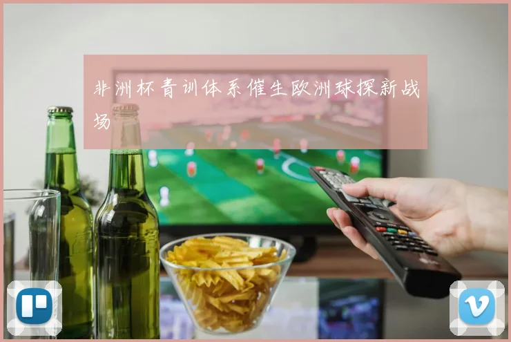 非洲杯青训体系催生欧洲球探新战场