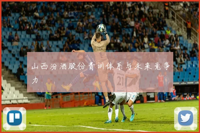 山西汾酒股份青训体系与未来竞争力