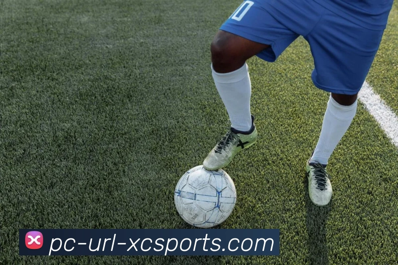 托尼波波维奇：从篮球教练到传奇人物的成长之路与影响力分析